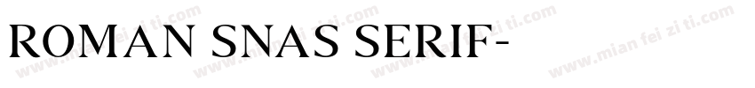 roman snas serif字体转换